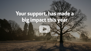 A Heartfelt Thank You For Your Support in 2025